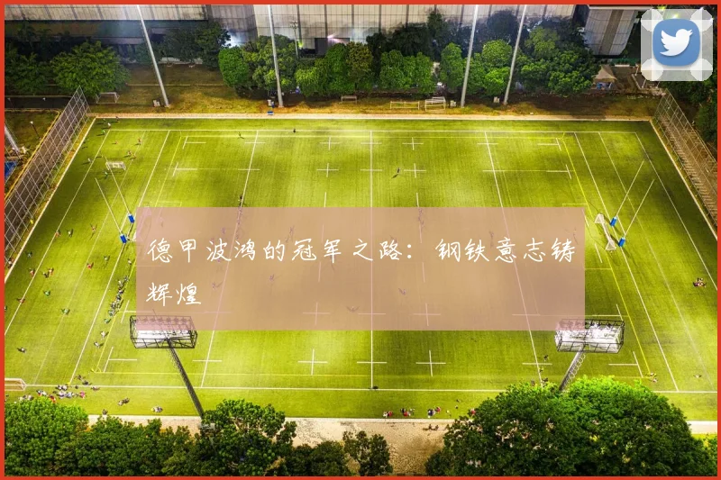 德甲波鸿的冠军之路：钢铁意志铸辉煌