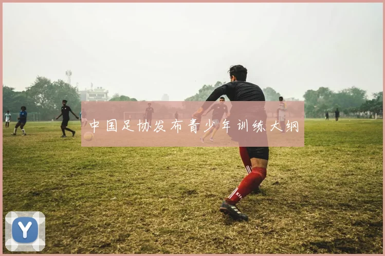 中国足协发布青少年训练大纲