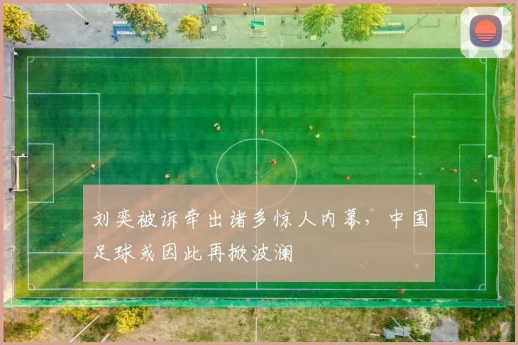 刘奕被诉牵出诸多惊人内幕，中国足球或因此再掀波澜