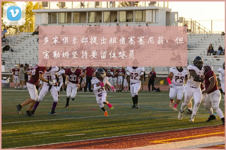 多家俱乐部提出租借塞塞尼翁，但富勒姆坚持要留住球员