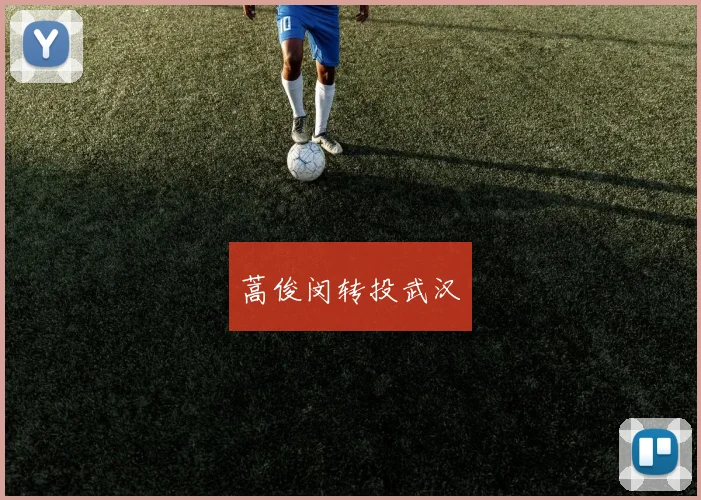 蒿俊闵转投武汉
