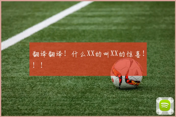翻译翻译！什么XX的叫XX的惊喜！！！